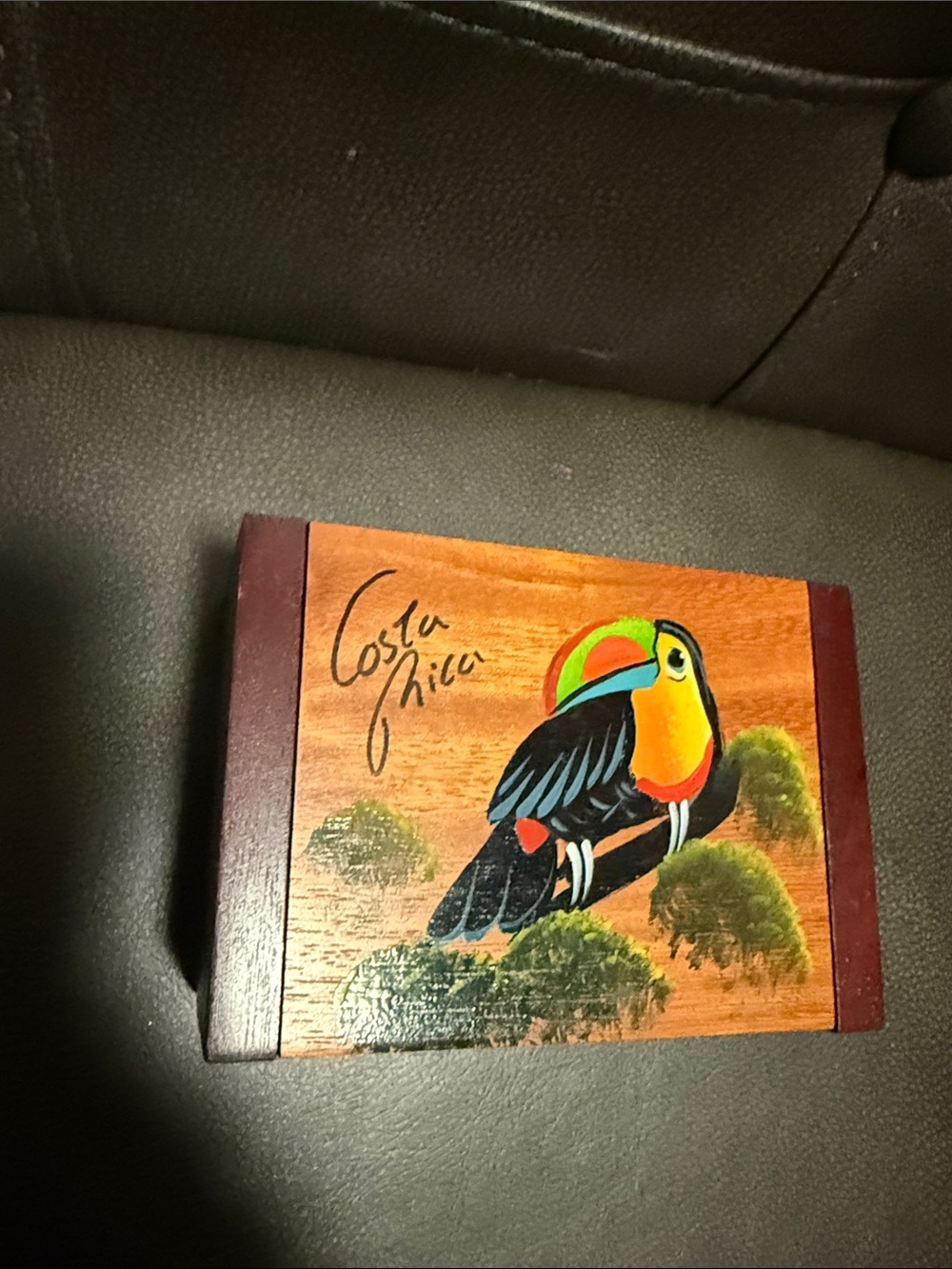 Costa Rica Toucan Wooden Decorative Box - Multicolor
